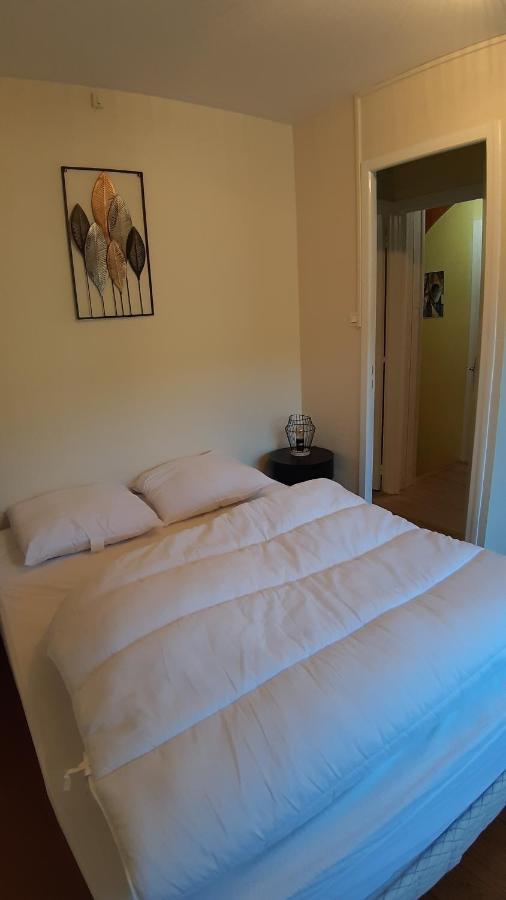 Casa vacanze Maison 6-9 Pers Pour Et Cure Thermale Le Mont-Dore
