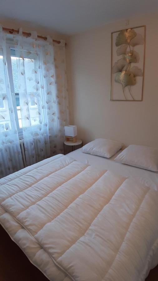 Maison 6-9 Pers Pour Et Cure Thermale Holiday home Le Mont-Dore